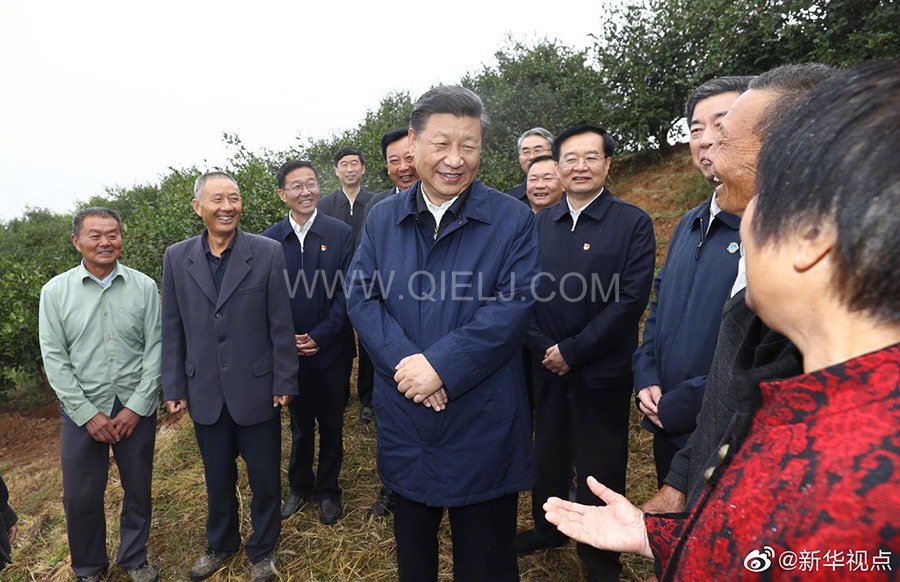 光山油茶籽榨油設備，山茶籽油榨油機廠家(圖2)