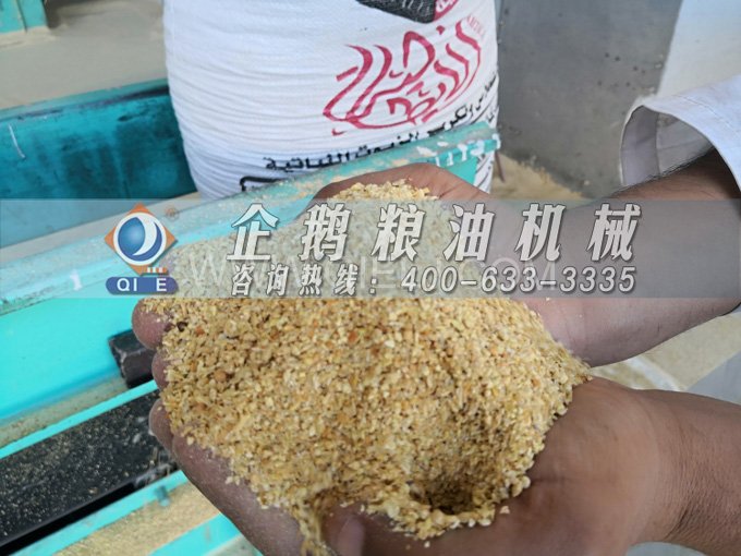 米糠油精煉設備，企鵝機械不斷創新提升工藝效果(圖2)